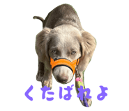 797853169
