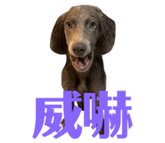 797853175