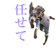 797853181
