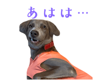 797853188