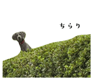 797853189