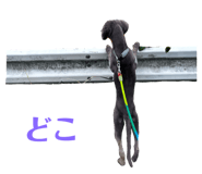 797853192