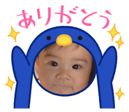797854085