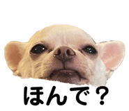 797854596