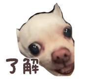 797854599