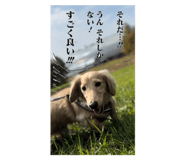 797867163