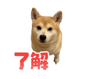 797867408