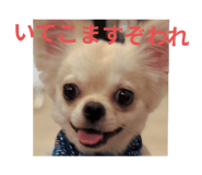 797873736