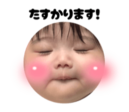 797884480