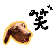 797892120