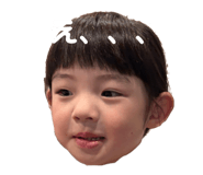 797905046