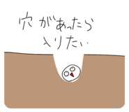 797906515