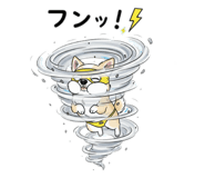 797916814
