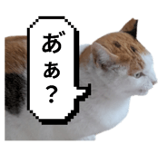 797918899