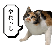 797918900