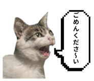797918901