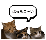 797918902
