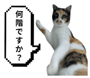 797918903
