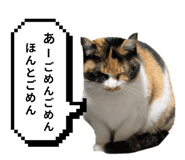 797918907