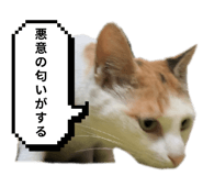 797918911