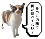 797918912