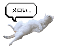 797918914