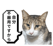 797918915