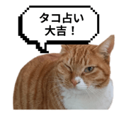 797918919