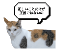 797918920