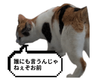 797918924
