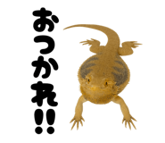 797929925