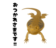 797929926