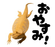 797929927
