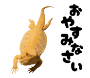 797929929