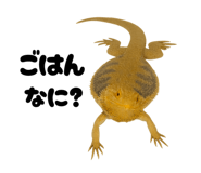 797929935