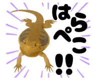 797929936