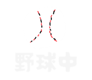 797933763