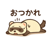 797940517