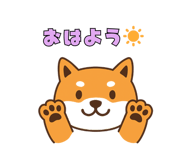 797954313