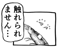 797955423