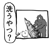 797955425