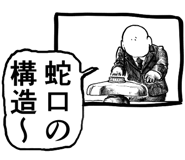 797955431