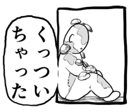 797955433