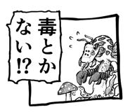 797955434