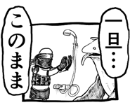 797955435