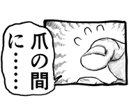 797955437