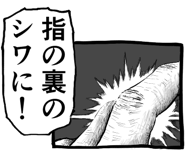 797955438