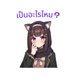 797956834