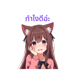 797956844