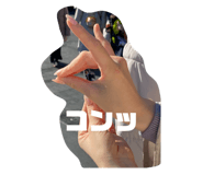 797957720